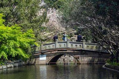 中心电话 - 环境户型价格地址楼盘详情配套电话交房时间配套楼盘百科爱游戏网站入口万科中兴傲舍 (售楼处) 网站 - 万科中兴傲舍销售(图48)